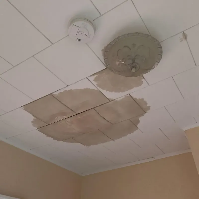 Ceiling Water Damage Repair in New Orleans, LA